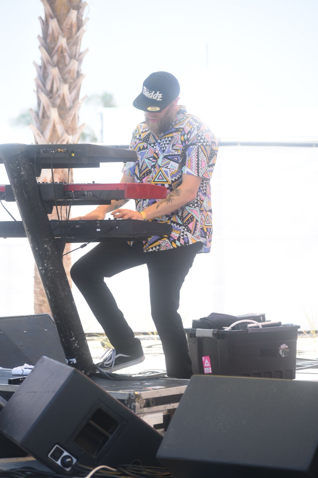 Hangout Festival Roots of Creation